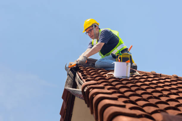 Best Rubber Roofing (EPDM, TPO)  in Rocky Point, NC